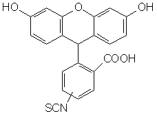 5(6)-異硫氰酸熒光素(5-FITC)