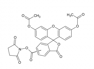 5-FAM|(5(6)-羧基熒光素二乙酸琥珀酰亞胺酯)