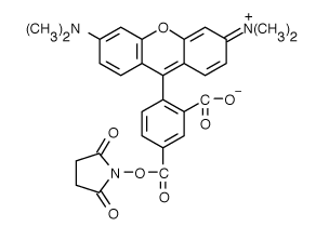 TAMRA|5-羧基四甲基羅丹明琥珀酰亞胺酯