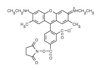 TAMRA|5-羅丹明6G 琥珀酰亞胺酯